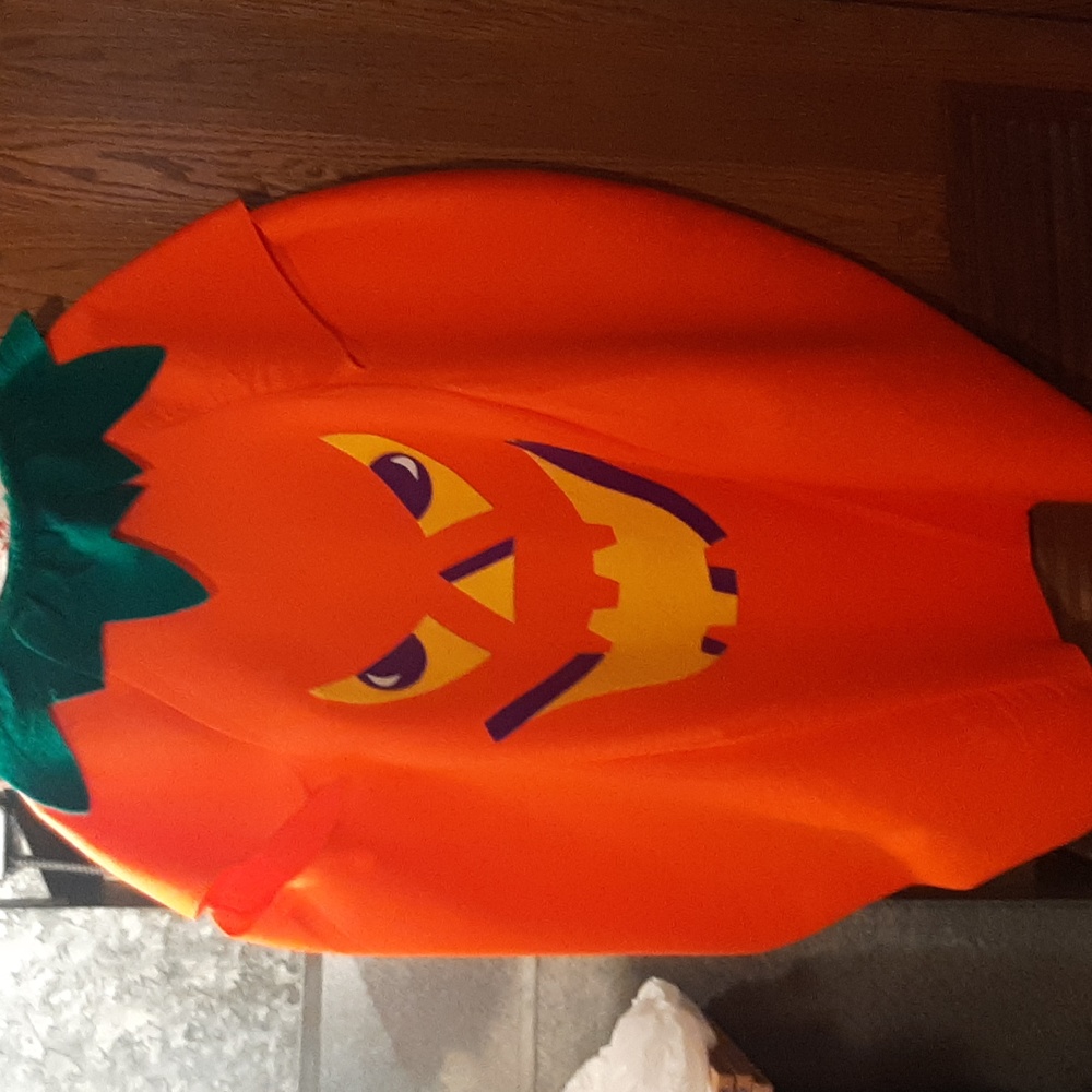 Adult Pumpkin Costume
